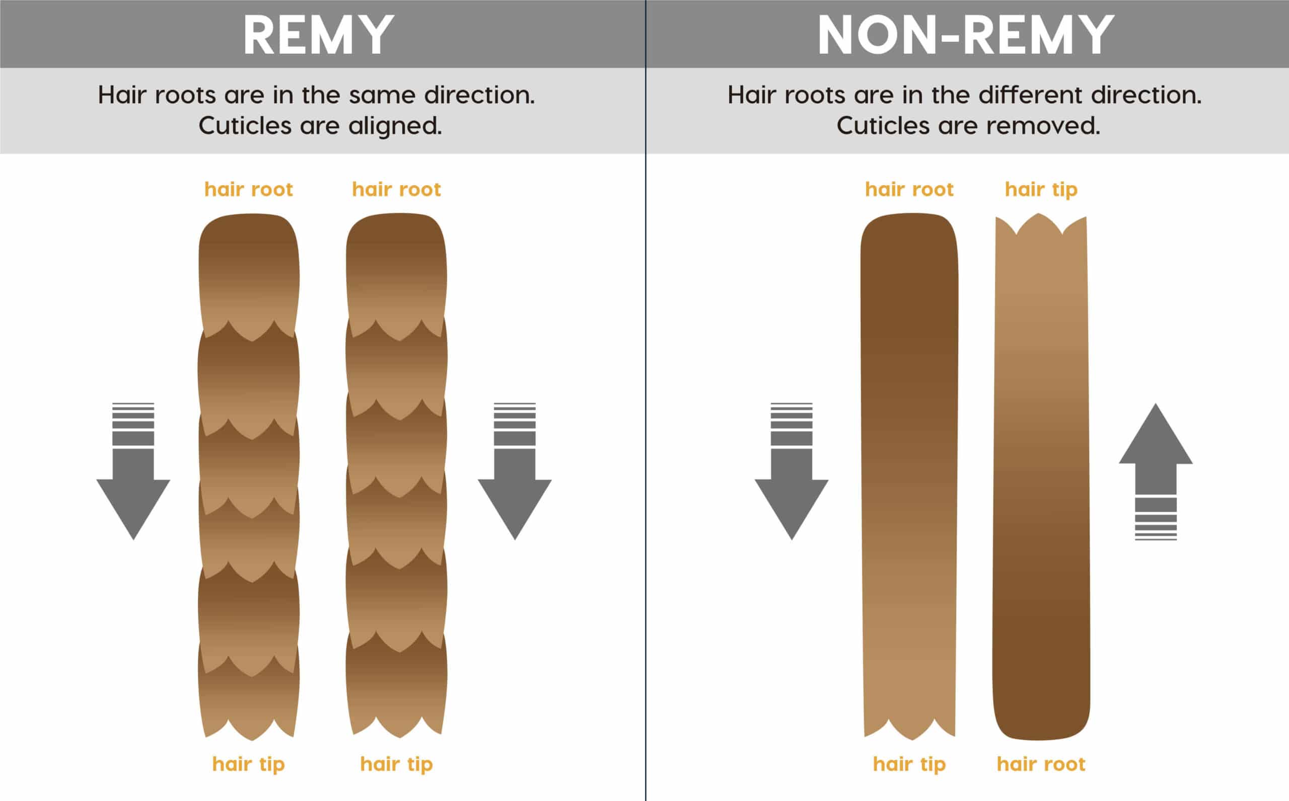 remy-vs.-non-remy