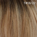 T#18_22